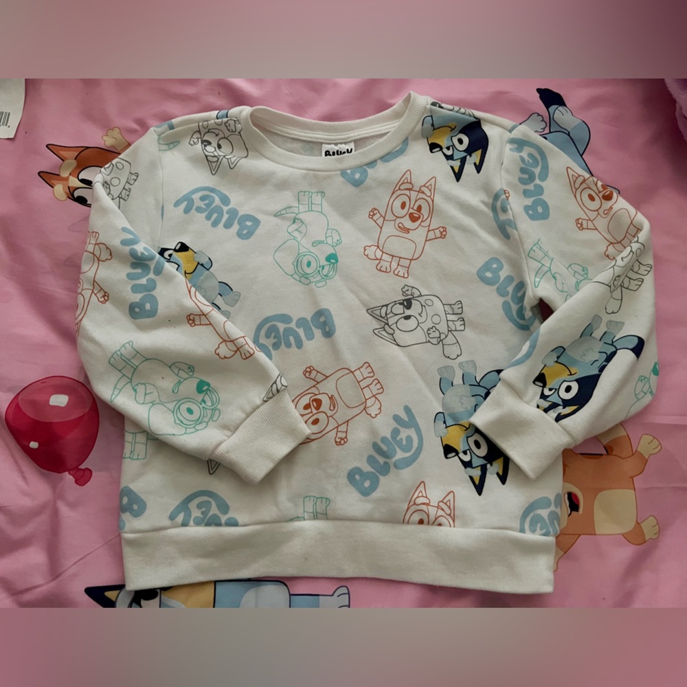 Disney Bluey sweatshirt toddler size 5T